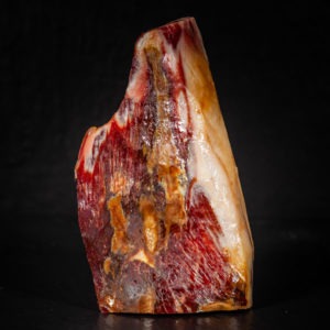 Jambon Ibérique Pata Negra Extremadura Noix – Image 2